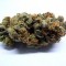 OG Kush
